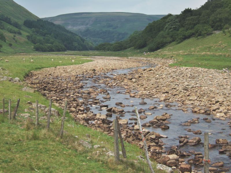 Swale Drainage Service