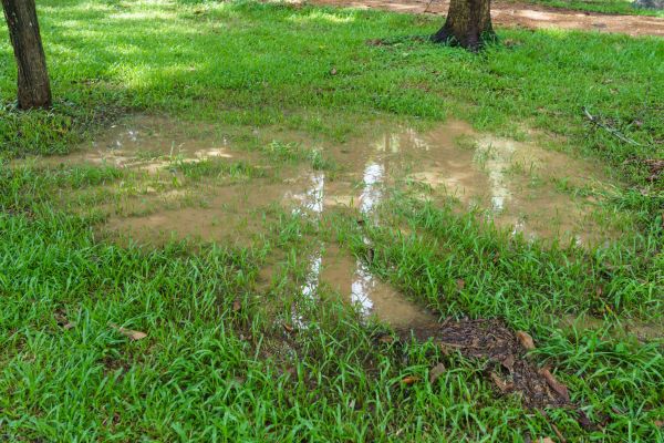 Storm Water Drainage Service in Camarillo