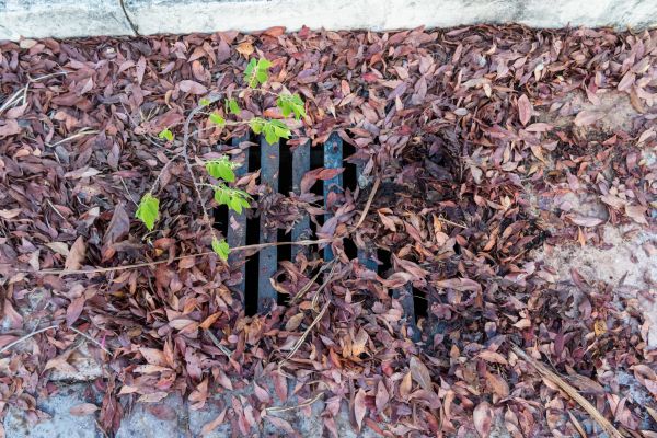 Yard Drain Unclogging in Camarillo