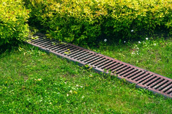 Lawn Drainage in Camarillo