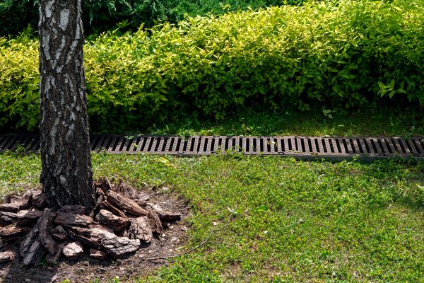 Wet Yard Drainage in Camarillo