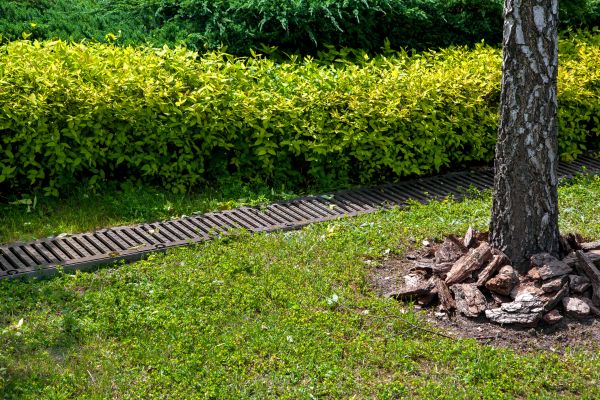 Residential Landscape Drainage in Camarillo