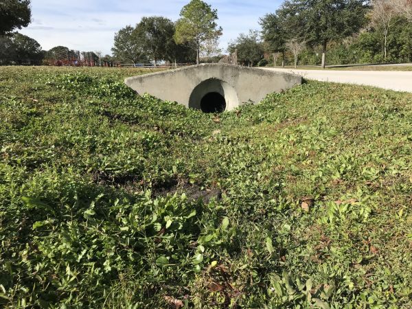 Cost of Swale Drainage Service in Camarillo